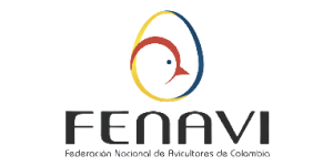 Mesa de trabajo 53_1