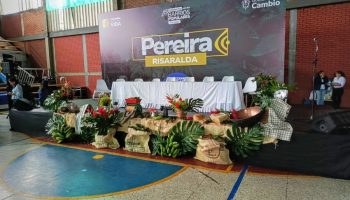 ESCENARIO COMERCIAL-min