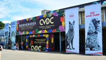 PÓRTICO CONGRESO VETERINARIO-min
