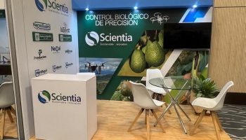 STAND SENCILLO PARA CONGRESOS-min