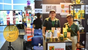 STAND SENCILLO Y BONITO